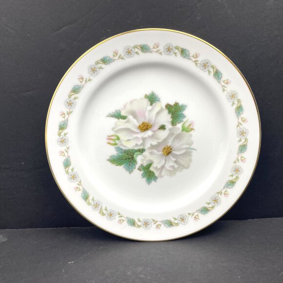 Set 6 Vintage NoritakeChina WhiteHall Dinner Plates 10 1/4" Gold Trim #5029Japan - Picture 2 of 9